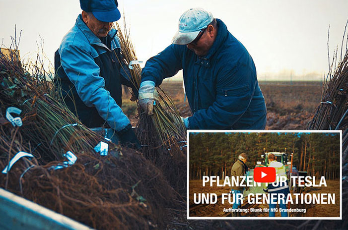 Blunk: Bäume pflanzen für NfG für TESLA Titel2