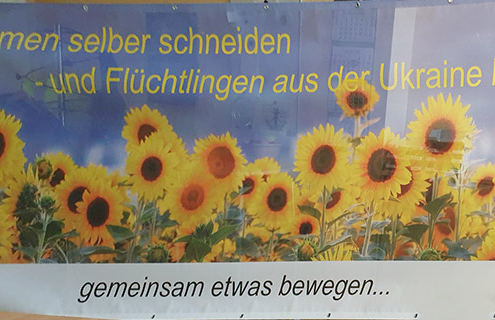 Straßenbanner Sonnenblumen für Spendensammlung in Bornhöved