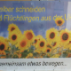 Straßenbanner Sonnenblumen für Spendensammlung in Bornhöved