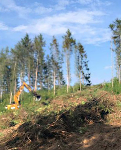 Blunk Forst Einsatz mit Rroderechen nach Holzeinschlag - Foto Danny Schuster - 01b