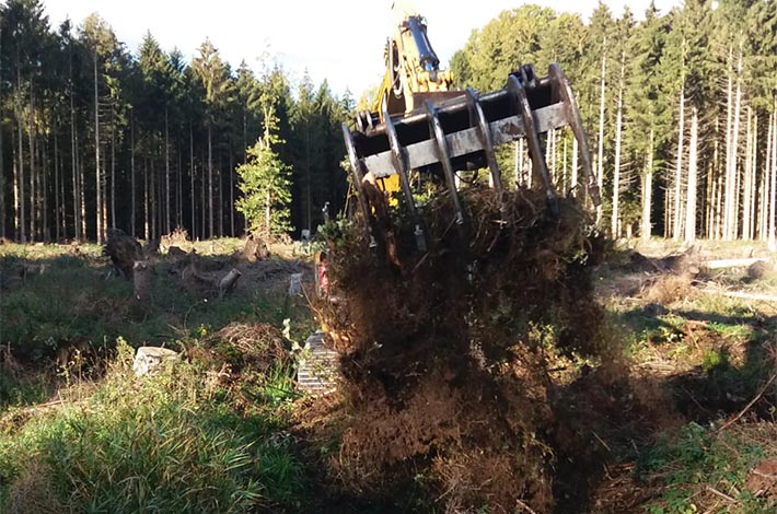 Blunk Forst Einsatz mit Rroderechen nach Holzeinschlag - Foto Danny Schuster - Titel