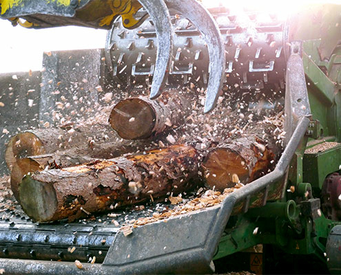 Blunk Frühjahrsarbeiten: Knick auf den Stock setzen und Holzhackschnitzel Produktion