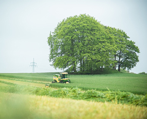 Grasernte mit Blunk erste Grasmahd mit Big M - Foto Mattis Schramm Agrarperspektiven - 01