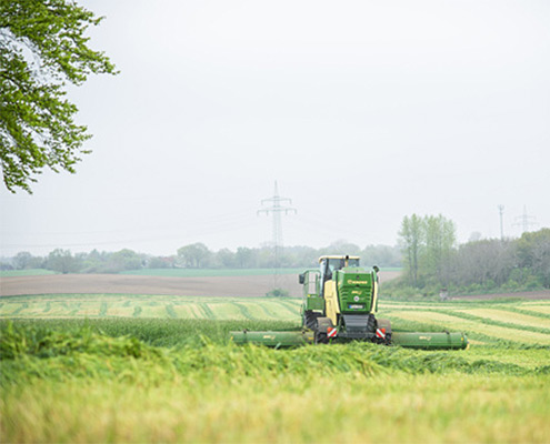 Grasernte mit Blunk erste Grasmahd mit Big M - Foto Mattis Schramm Agrarperspektiven - 10
